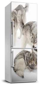 Hűtő matrica Szürke farkasok FridgeStick-70x190-f-124362326