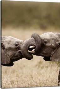 Vászonkép Elefántok találkozása Afrika Természet 40x60 cm Ideális ajándék