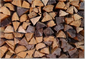 Vászonkép 100x70 Fa a kandallóhoz