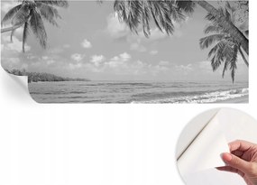 Dekoratív öntapadós fotótapéta irodába Trópusi paradicsom 250x104 cm