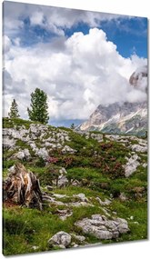 Vászonkép 80x120 Hegyi kilátás Tájkép