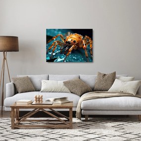 Üveg kép - A pók részlete (70x50 cm)