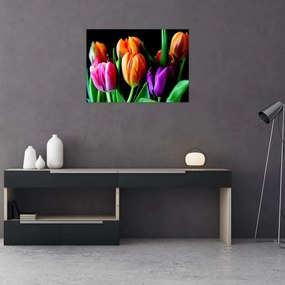 Tulipánok képe fekete alapon (üvegen) (70x50 cm)