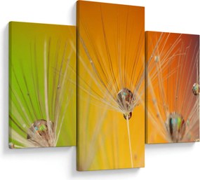 Cseppek a növényen képe (90x60 cm)