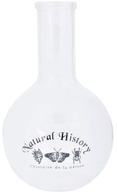 Üveg váza (magasság 23 cm) Natural History – Esschert Design