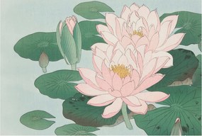 Flizelin fotótapéta Flizelin Designer vízi lótusz 104x70 Ragasztó