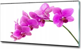 Fotó kép fotó edzett üveg Erdő 100x70