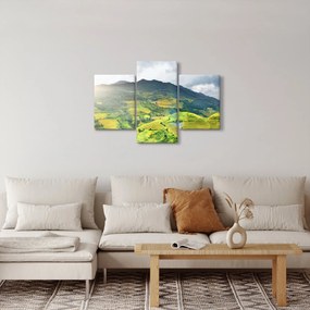 Ültetvények képe (90x60 cm)