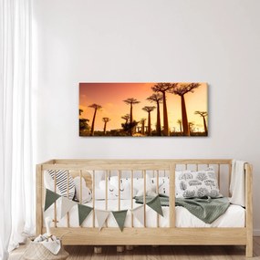 Kép - Naplemente a Baobab Alley-ben (120x50 cm)