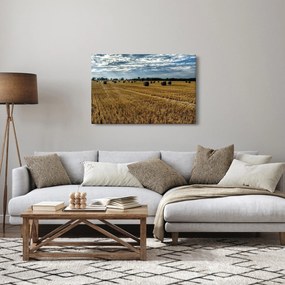 Betakarított gabona mező képe (90x60 cm)