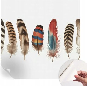 Öntapadós tapéta Divatos 3D fali ragasztóval Színes tollak 250x250 cm