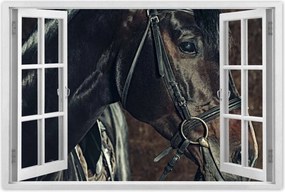 Poszterek 90x60 LĂłfej