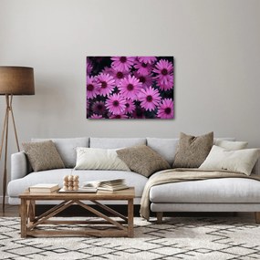 Rózsaszín virágok képe (70x50 cm)