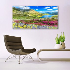 Vászonkép nyomtatás Top Bay Mező Természet 100x50 cm