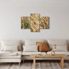 Kép - Gabona (90x60 cm)