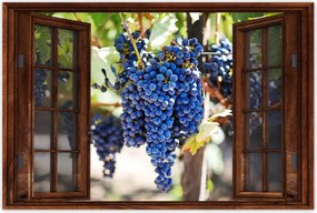 Plakátok 90x60 Wine Grapes Vineyard