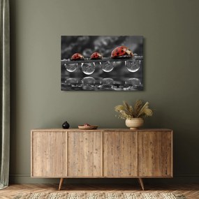Kép - Napraforgó, fekete-fehér (90x60 cm)