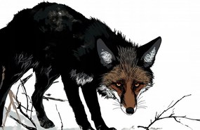 Poszter 86,4x56,8cm Bizalmatlan róka