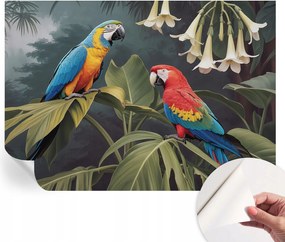 Öntapadós fotótapéta a konyhába Mosható Színes papagájok 208x146 cm