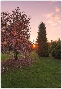 Poszterek 70x100 Kilátás Tájkép