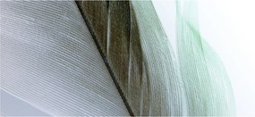 Kép - Tollak, makro (120x50 cm)
