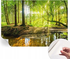 Öntapadós Mosható Fali Fotótapéta Zöld táj 312x219 cm