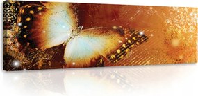 Vászonkép 145x45 Pillangó szárnyak repülés átalakulás nyár természet fény ragyogás