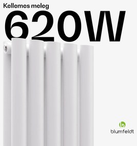 Blumfeldt Tallheo radiátor 120x30 620W
