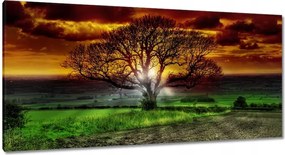 Festmények 115x55 Varázslatos fa tájkép