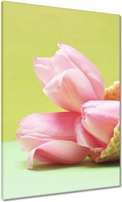 Vászonkép 70x100 Tulipánok ízlés szerint