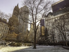 Poszter 40x30cm Központi park panorámával Alsó-Manhattan 2, Assaf Frank