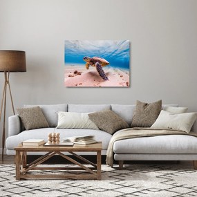 Teknős képe az óceánban (üvegen) (70x50 cm)