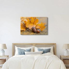 Kép - Őszi makk (90x60 cm)