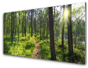 Üvegkép Forest Path Lane Nature 140x70 cm 2 fogas