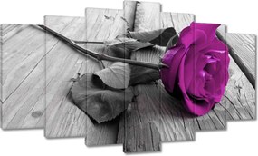 Vászonkép 140x80 Lila rózsa