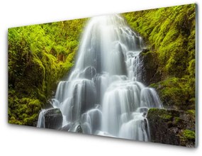 Üvegkép falra vízesés Természet 100x50 cm