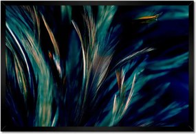 Poszter keretben 60x40 Puha pávatollak