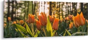 Narancssárga tulipán képe (120x50 cm)