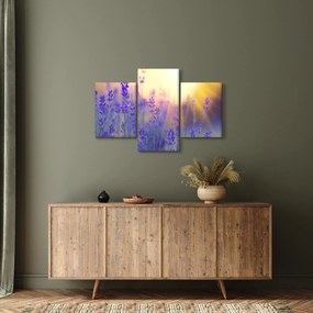 Kép - Levendula (90x60 cm)