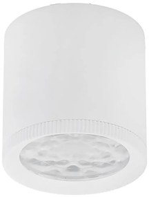 Roller LED mennyezeti spotlámpa