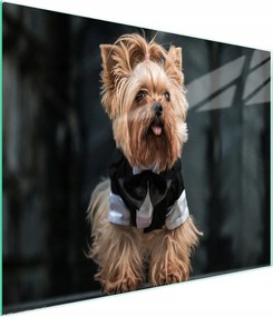 Üveg Vágódeszka 52x30 Kutya Edzett Üveg