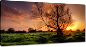 Festmények 115x55 Egy este a croissant-ban