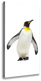 Vászonkép Pingvin ocv-59348064