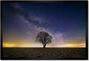 Poszterek keretben 60x40 Magányos fa és csillagok