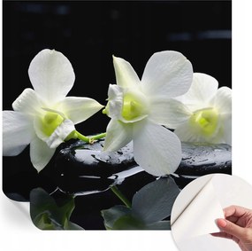 Mosható öntapadós fotótapéta Étkezőbe Virágok kövek 250x250 cm