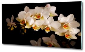 Egyedi üvegkép Orchidea osh-95410450