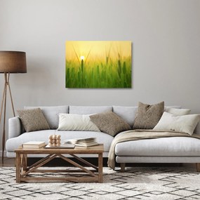 Kép - Mező gabonával (üvegen) (70x50 cm)