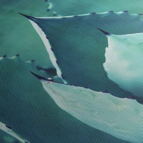 Kép - Szukulent (120x50 cm)
