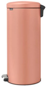 Lazacszínű acél pedálos szemetes 30 l NewIcon – Brabantia