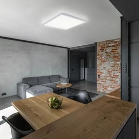 Leuchten Direkt 12201-16 - LED Mennyezeti lámpa FLAT LED/22W/230V